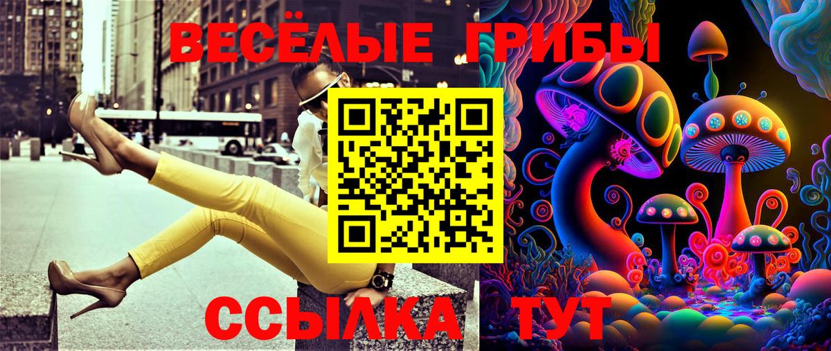 Псилоцибиновые грибы мицелий Александров