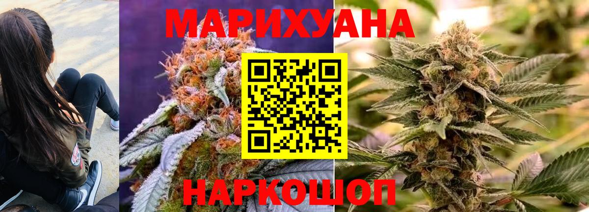 Бошки Шишки SATIVA & INDICA  Вход с VPN  Александров  Бошки Шишки MAZAR  Бошки Шишки тримм 